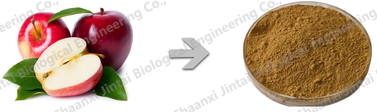 Water Soluble Apple Extract Polyphenol