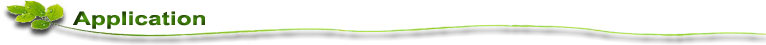 Application(1).png