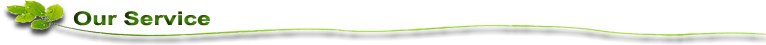 Our Service(1).png