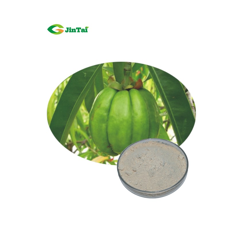 Garcinia Cambogia Extract Powder
