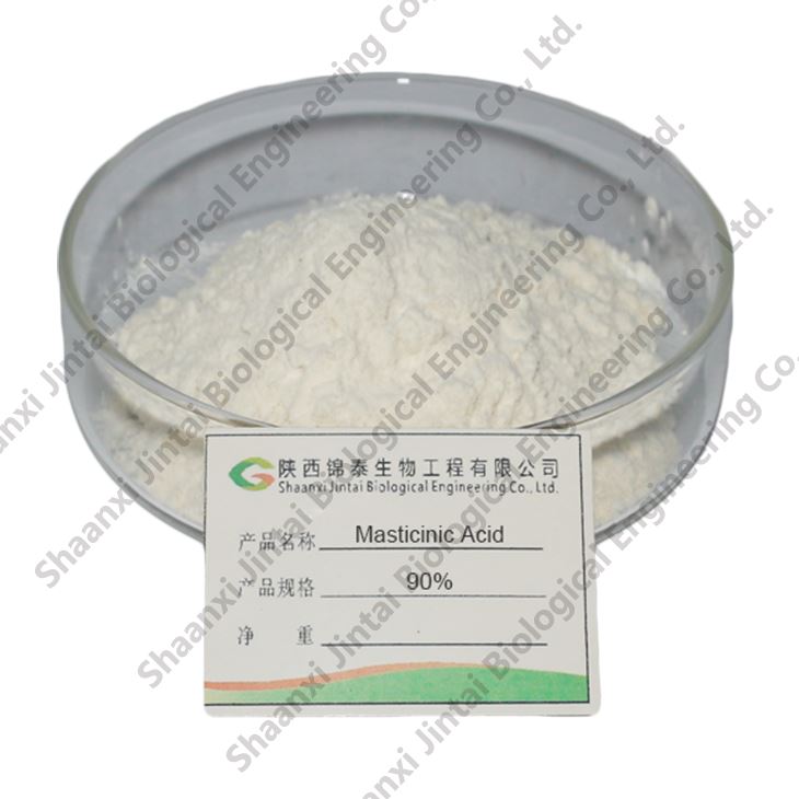 Boswelia Serrata Extract 4
