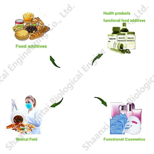 Oyster Powder Uses Oyster Powder Uses