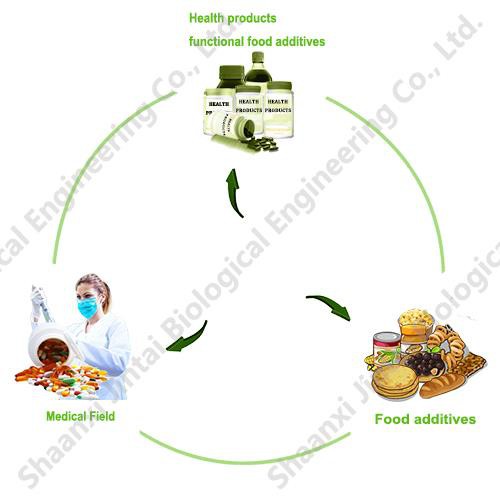 Schisandra Berry Powder application
