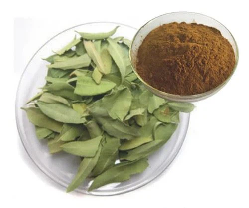 Apocynum venetum extract Apocynum venetum extract
