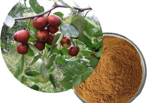 Spina Date Seed Extract Spina Date Seed Extract