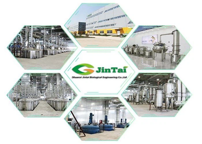 Jinta factory