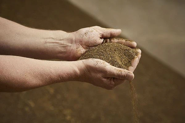 Yucca Extract Powder