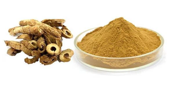 Siberian Ginseng Root Extract