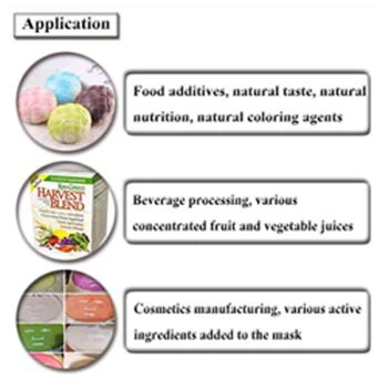 apple juice powder uses