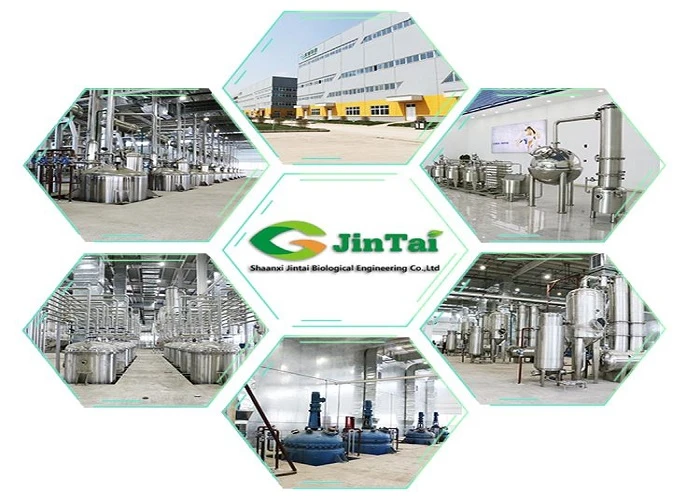 Jinta factory