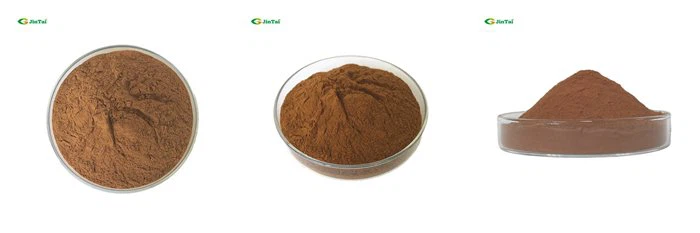 Maca Extract Powder
