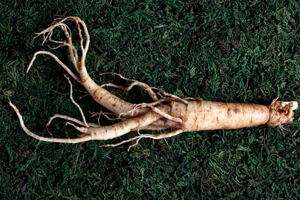 Ginseng extract Ginsenoside