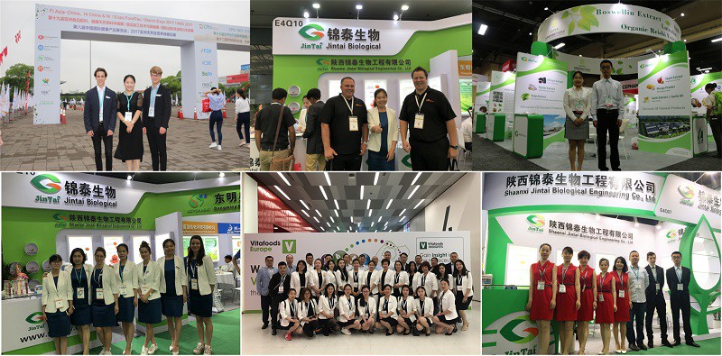 JINTAI Exhibition