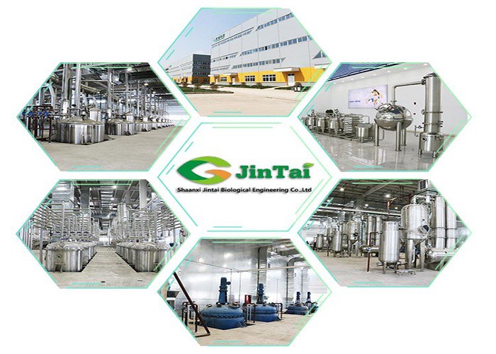Jinta factory