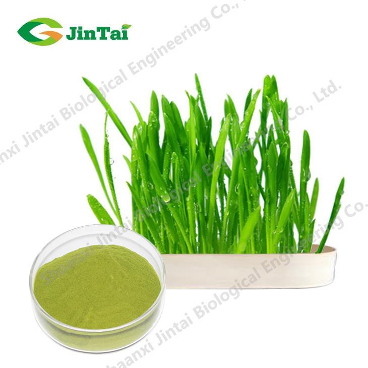 Pure Barley Grass Powder