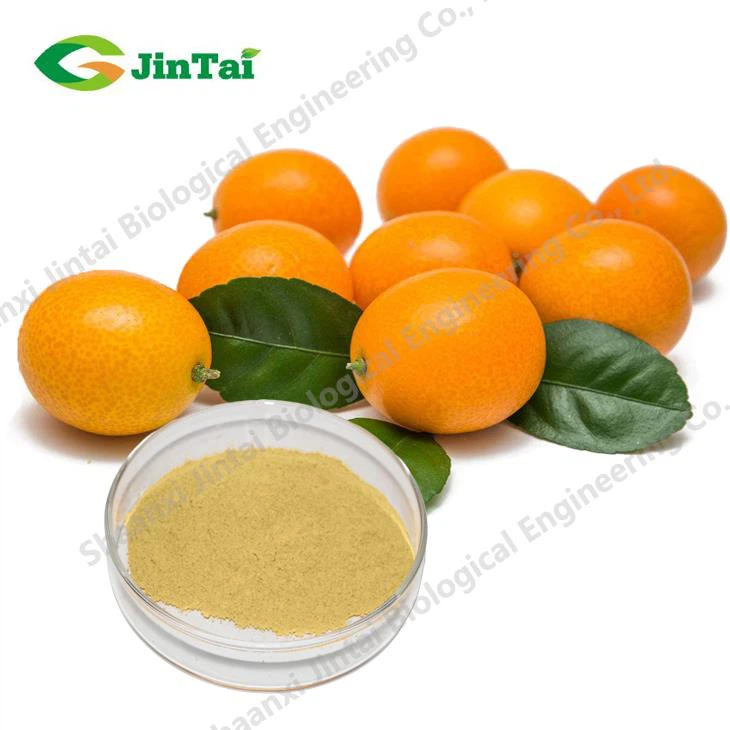 Bulk Kumquat Juice Powder