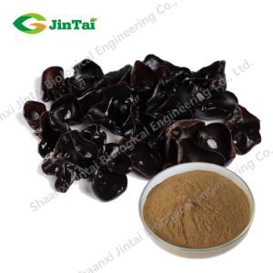 Black Fungus Powder/ natural dried black fungus mushroom powder