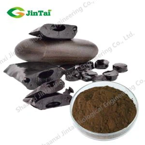 Organic Shilajit Extract Powder