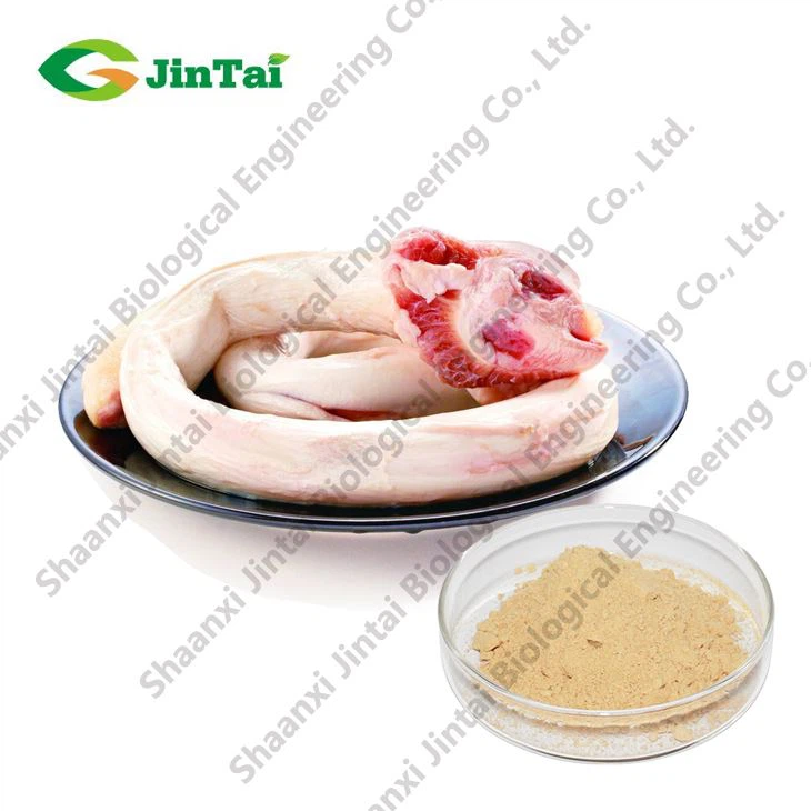 Freeze Dried Pizzles Powder