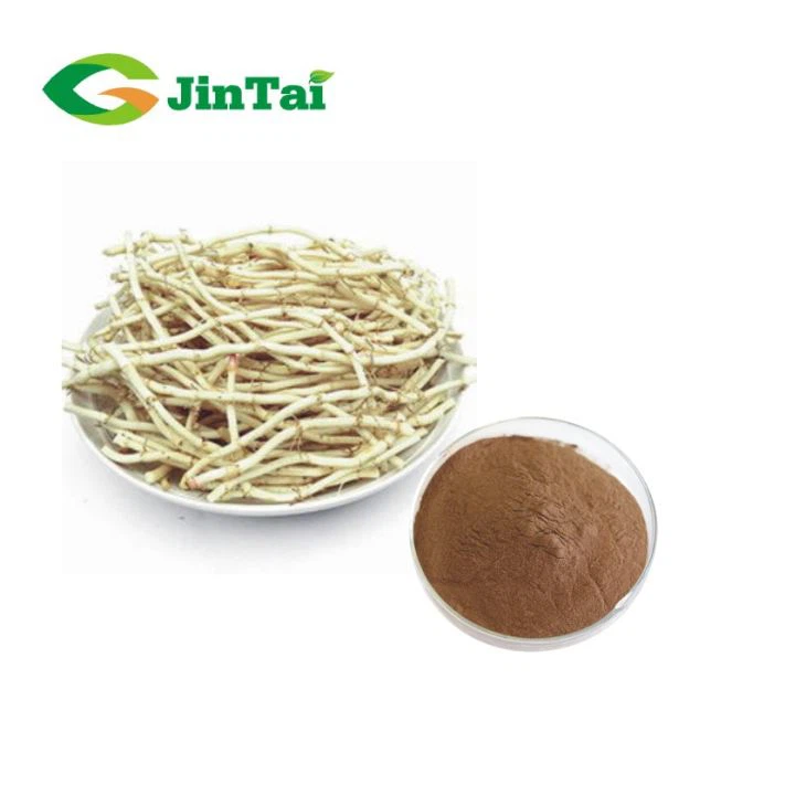 Houttuynia Cordata Powder