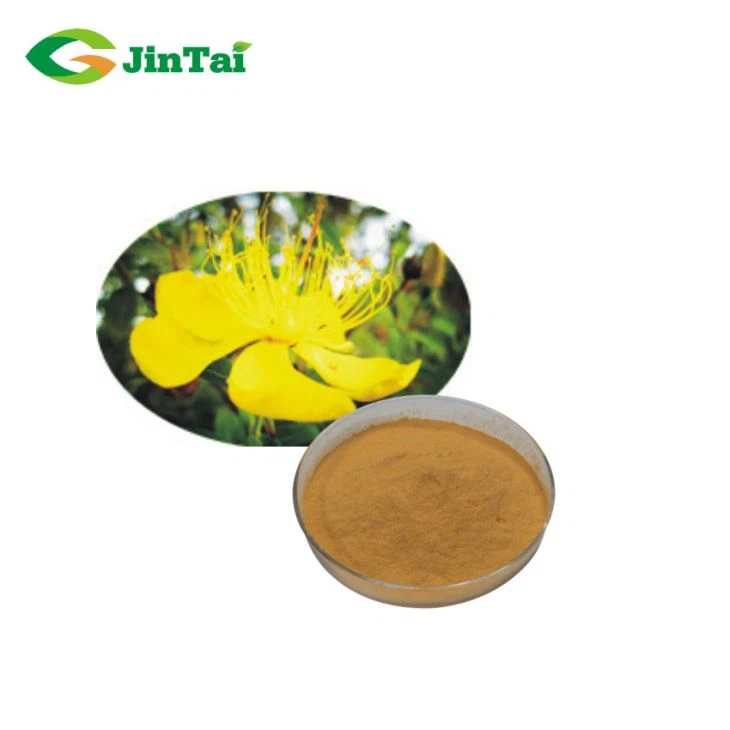 Natural Extract From Hypericum Perforatum/Good Effect and natural Hypericum perforatum extract Hypericin