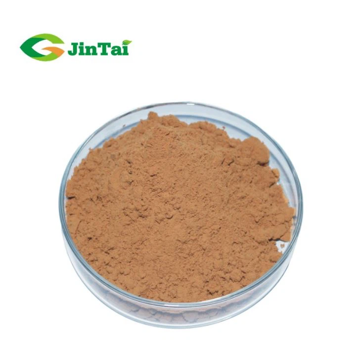 Vitex Negundo Extract Powder