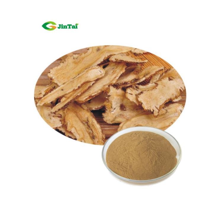 Dong Quai Extract Powder
