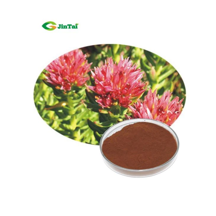 Rhodiola Rosea Root Powder