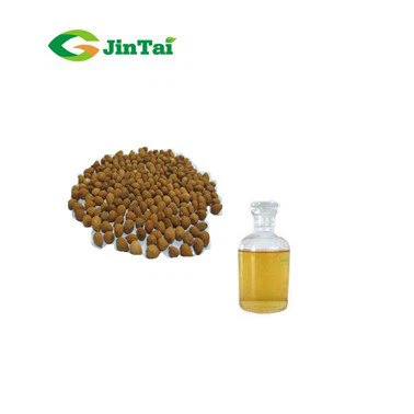 Amygdalus Pedunculata Oil