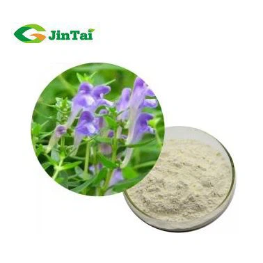 Baical Skullcap Root Extarct
