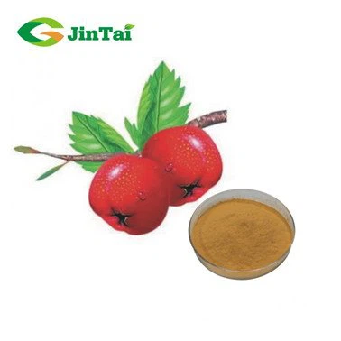 Hawthorne Berry Extract Powder