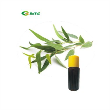 Eucalyptus Essential Oil