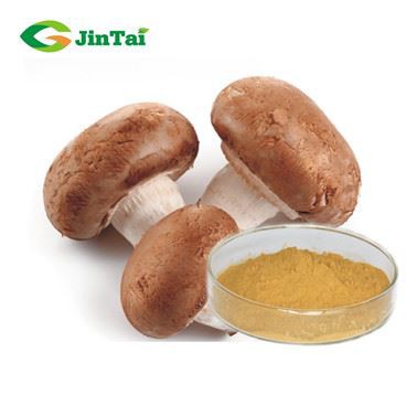 Shitake Mushroom Extract Powder