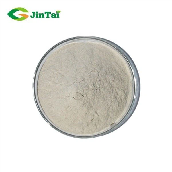 Casein Phosphopeptides Powder
